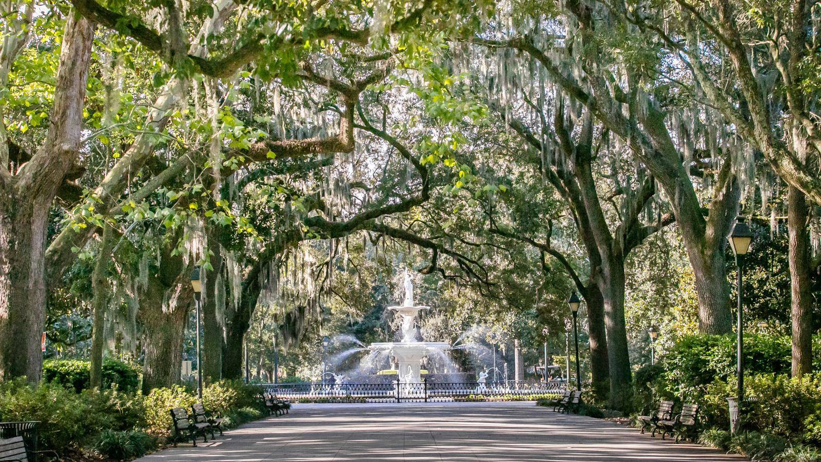 Forsyth Park, 1841: Green Oasis of Enchanted Tranquility